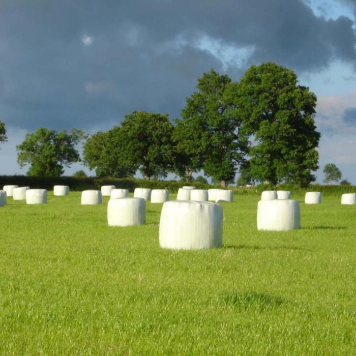 Balewrap / Silage Wrap